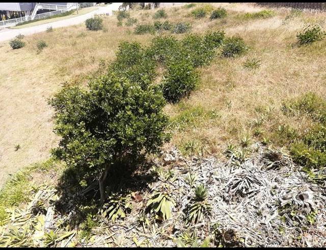 LAND FOR SALE IN TERGNIET